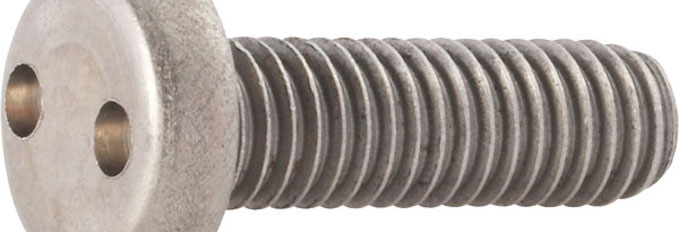 stainless steel security screw